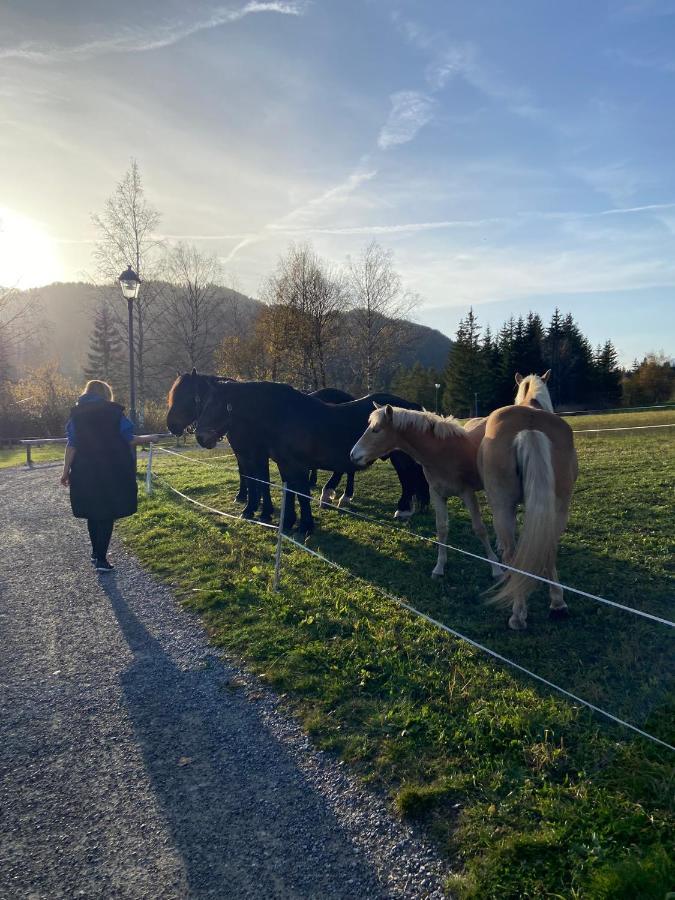 Fewo Sonnenschein Weissbriach Luaran gambar